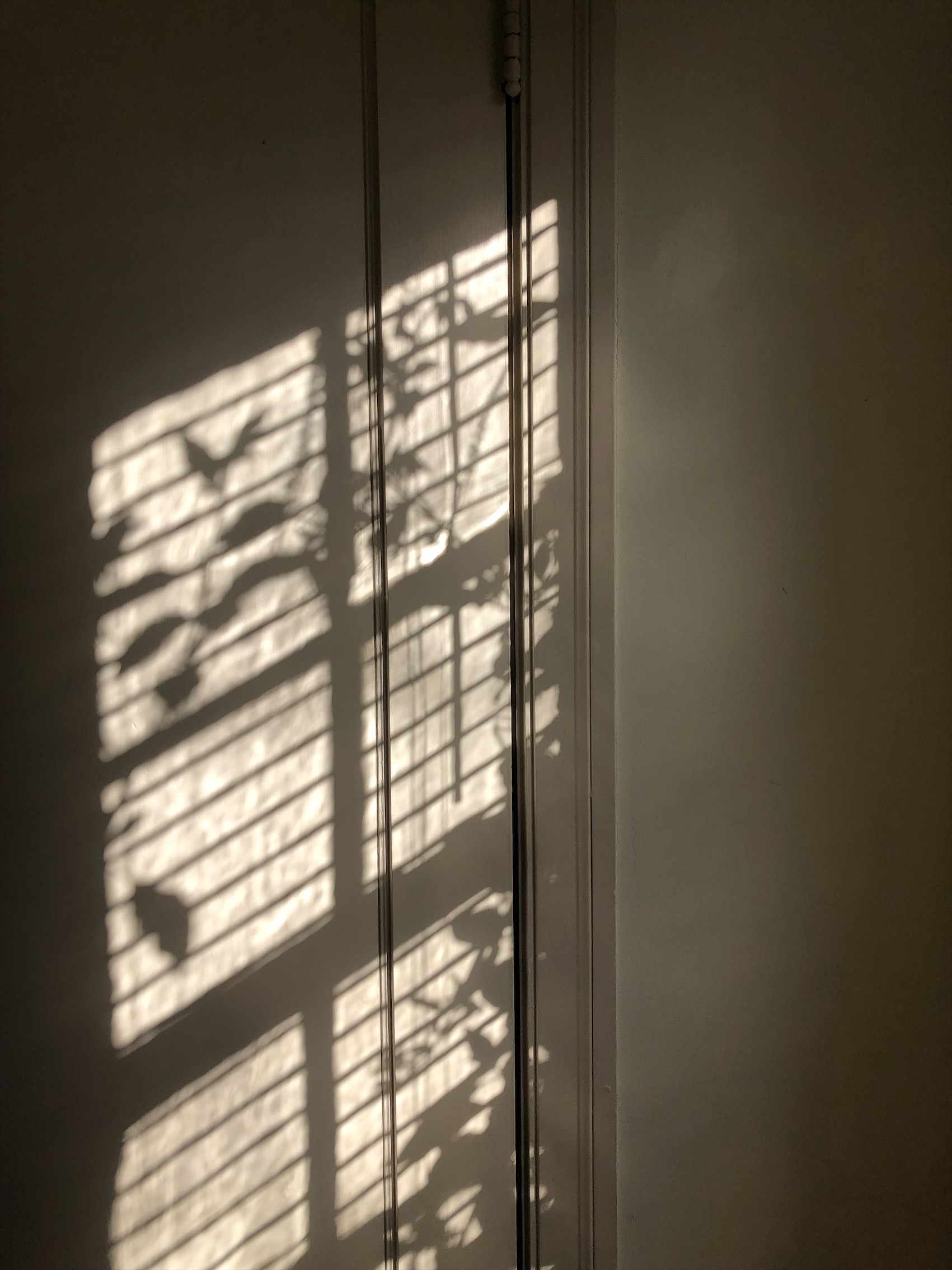 shadows of window blinds casted against a door
