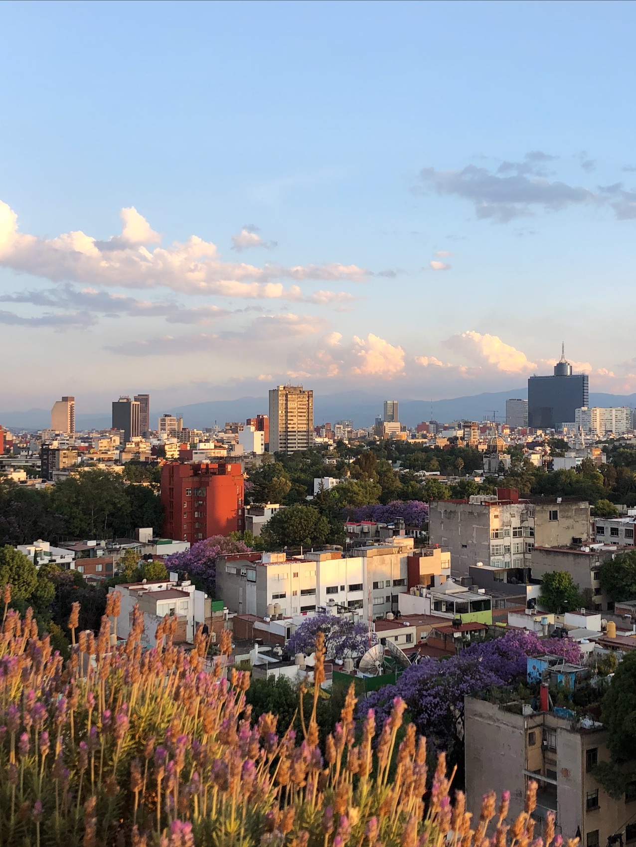 mexico city skyline during golden hour